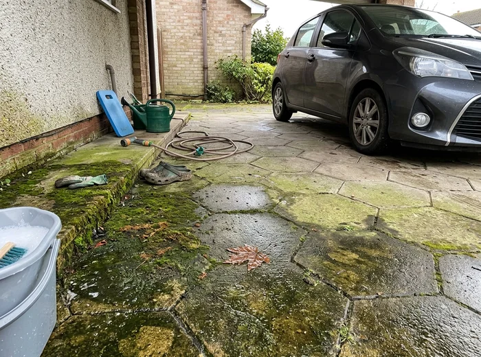 Algae-covered car porch before pressure washing